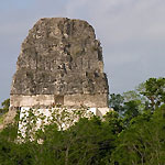 Tikal (City of Echoes)